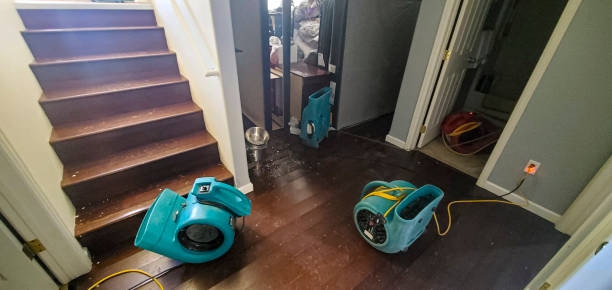 Best 24/7 water damage repair  in Airmont, NY