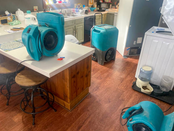 Best Water damage restoration near me  in Airmont, NY