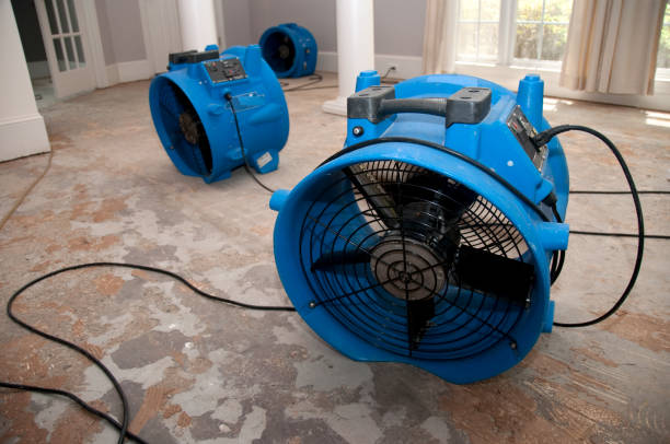 Best Local water damage restoration  in Airmont, NY