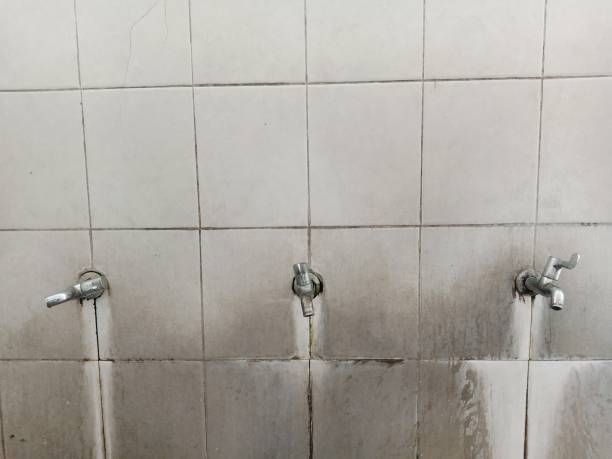 Best Water damage cleanup near me  in Airmont, NY